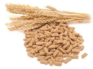 Польза и вред пшеничных отрубей