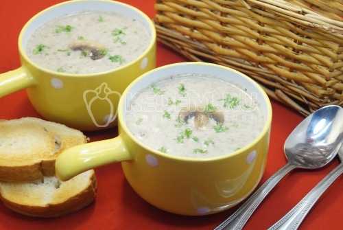 Крем–суп из шампиньонов – пошаговый рецепт с фото, как приготовить грибной крем–суп