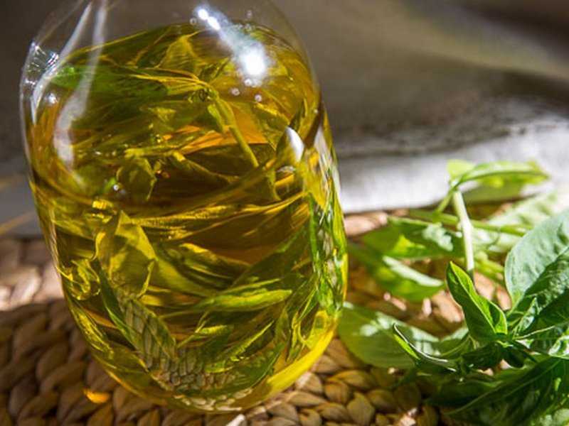 Оливковое масло может защитить печень от вредного действия гербицидов