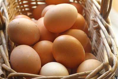 В Тамбовской области состоится Фестиваль яйца «Кукарекино»