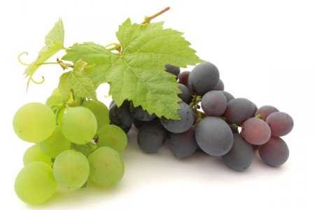 Виноград станет полезнее: ученые нашли метод улучшения качеств продукта