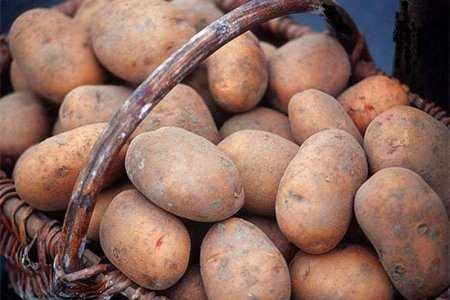 За последние 40 лет в России стали есть существенно меньше картофеля