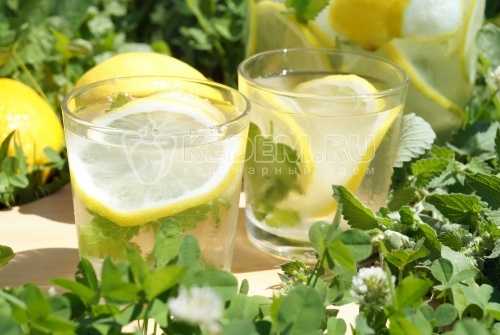 Домашний лимонад с лимоном и мятой – рецепты лимонадов, пошаговый рецепт с фото
