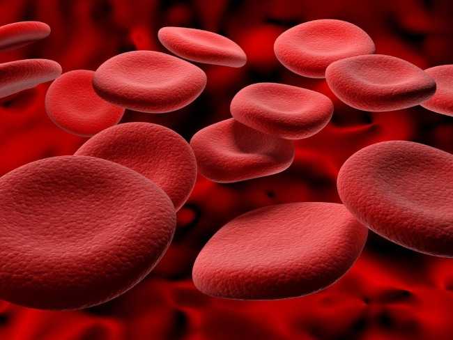 Какие болезни могут скрываться за низким уровнем гемоглобина - Новости