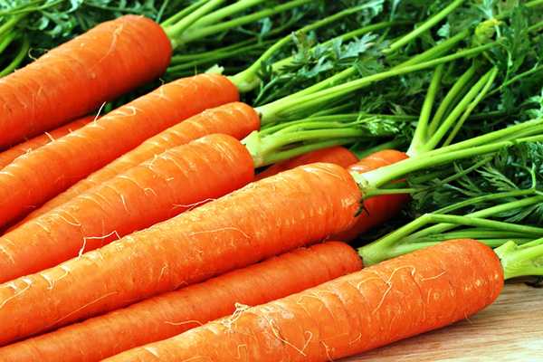 Морковь – лидер среди овощей по полезным свойствам
