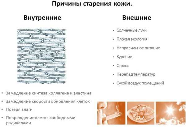 Признаки старения кожи. Первые у женщин, молекулярные и морфологические, лица